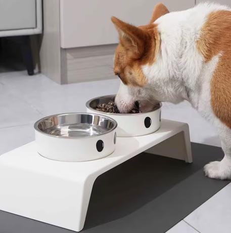 Gamelle surélevée pour chat ou chien - Confort & digestion améliorée